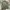 M65 FIELD JAKET MILITARY CPS  photo 2