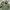 M65 FIELD JAKET MILITARY CPS  photo 4