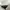 Under Armour Casual Cardigan Pria white photo 4