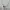 Oakley Halfzip SS Jersey photo 6