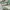 Onitsuka Tiger Cosplay Casual Casual shoe Pria green photo 2