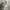 Hoodie oversized good material gray Unspecifed photo 4