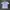 Tshirt Ripcurl photo 1