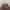 Kate Spade Minimalist Wanita burgundy photo 5