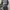 Sweatshirt Newyork university dark gray Seventeen17 photo 2