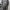Sweatshirt Newyork university dark gray Seventeen17 photo 3