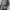 Sweatshirt Newyork university dark gray Seventeen17 photo 1
