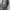 Sweatshirt Newyork university dark gray Seventeen17 photo 4