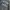 Sweatshirt Newyork university dark gray Seventeen17 photo 8