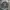 Sweatshirt Newyork university dark gray Seventeen17 photo 5