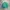 Crewneck LMC
