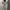 Vintage Top photo 2