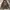 Indie Casual Hoody Pria brown photo 1