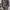 Halfbutton washed good material And Z photo 1