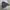Champion Jaspo Vintage Jacket photo 1