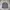 TBUC Utility Work Jacket