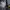Biker Casual Windbreaker Pria multicolor white photo 1