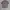 Kaos/T-shirt "ManiaMass" photo 3