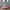 Dr. Martens Casual Sandals & Slide Wanita Pink