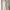 Zara Basic Illusion Waist Bodycon Dress