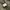 Future Bullet Bono Style - NumberNine Vibes Apocalypse photo 7