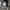 Future Bullet Bono Style - NumberNine Vibes Apocalypse photo 5