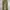 Avirex camo military longpants photo 7