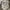 Avirex camo military longpants photo 4