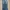 Levi's Vintage Streetwear Jeans Pria blue photo 4