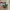 ADIDAS STADT CITY SERIES COLLEGIATE GREEN GUM  photo 5