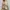 patchwork maxi skirt photo 6