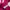 Sports Bra Nike Pro S Pink Fuschia Fanta Fusia High Support  photo 5
