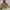 Beanpole Blend Parka photo 1
