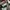 Flat shoes buccheri photo 1