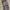 291295=HOMME Streetwear Y2K Casual pants Pria brown photo 3