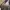 291295=HOMME Streetwear Y2K Casual pants Pria brown photo 6