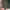 emerald green babydoll top photo 3