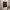 brown fitted fairy grunge vintage top photo 1