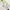 Mizuno Badminton Tennis Jersey Polo Training Shirt Japanese  photo 4