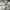 Adidas Streetwear Sweater Pria gray photo 6