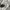 Adidas Streetwear Sweater Pria gray photo 5