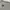 Adidas Streetwear Sweater Pria gray photo 4