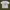 Uniqlo x MoMA Tshirt Cotton Beige Broken White Museum Of Nat photo 1