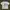 Uniqlo X MoMA Tshirt Cotton Beige Broken White Museum Of Nat