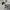 Adidas "I Am Sport, Gameday or Any Day" Sportswear Pocket L photo 6