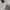 Adidas "I Am Sport, Gameday or Any Day" Sportswear Pocket L photo 7