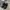 Balenciaga Sneakers Kitg 357-650 Authentic Luxury