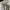 Zar4 Sweater crewneck cream basic  photo 2