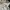 Zar4 Sweater crewneck cream basic  photo 4