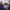 Kemeja Lacoste Navy colour Size 39 photo 7